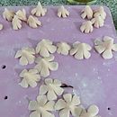 Mi proyecto del curso: Decoración floral para Cake Design . Een project van  Ontwerp y DIY van KARINA V IRIZARRY CAMPAGNA - 11.08.2022