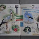 Mon projet du cours : Carnet de voyage illustré avec des techniques mixtes. Un progetto di Disegno, Pittura ad acquerello, Sketchbook e Disegno con matite colorate di Patricia PICCO - 12.08.2022