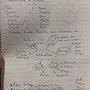 Mi proyecto del curso: Creación de un logotipo original desde cero . Desain, Pencitraan Merek, Identitas, Desain Grafis, Dan Desain Logo proyek oleh Ángela Basurto - 08.13.2022