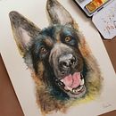 Meu projeto do curso: Retratos expressivos de animais em aquarela. Ilustração tradicional, Pintura em aquarela, Desenho realista e Ilustração naturalista projeto de Priscila Preidt - 09.08.2022