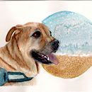 Mi proyecto del curso: Retratos expresivos de animales en acuarela. Projekt z dziedziny Trad, c, jna ilustracja, Malowanie akwarelą, R, sunek realist, czn, Ilustracja naturalist i czna użytkownika mei_ml - 01.08.2022