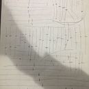 Meu projeto do curso: Desenho anatômico para principiantes. Un projet de Beaux Arts, Esquisse , Dessin au cra, on, Dessin, Dessin réaliste , et Dessin anatomique de Lucas Cabrera - 15.08.2022