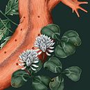 My project for Jessica Roux's Natural Illustration with Digital Painting Ein Projekt aus dem Bereich Traditionelle Illustration, Zeichnung, Digitale Illustration, Realistische Zeichnung, Digitale Malerei und Naturalistische Illustration von Audrey Lauriston - 27.08.2022
