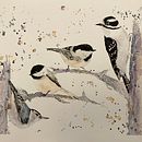 Mon projet du cours : Techniques artistiques d'aquarelle pour illustrer les oiseaux. Trio d’oiseaux du Québec.. Ilustração tradicional, Pintura em aquarela, Desenho realista e Ilustração naturalista projeto de Virginie Boivin - 13.08.2022