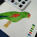 Meu projeto do curso: Ilustração naturalista de aves com aquarela Ein Projekt aus dem Bereich Traditionelle Illustration, Aquarellmalerei, Realistische Zeichnung und Naturalistische Illustration von eduardathaisdosantos - 16.08.2022