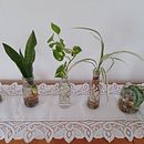 My project for course: Home Styling and Decoration with Plants. Un proyecto de Diseño interactivo, Decoración de interiores, Interiorismo, DIY, Diseño floral, vegetal y Diseño de espacios de Maria Moreno - 21.08.2022