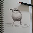 Birds . Creativitate, Pictură în acuarelă și Desen de L. Grev - 08.21.2022