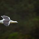 Meu projeto do curso: Teoria das cores na fotografia. Un proyecto de Fotografía, Retoque fotográfico, Fotografía digital, Composición fotográfica y Teoría del color de andri arsana - 24.08.2022