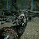 Mi proyecto del curso: Fotografía de paisaje y naturaleza. Un proyecto de Fotografía, Fotografía en exteriores, Fotografía para Instagram, Fotografía documental y Composición fotográfica de Núria Torrent Calderón - 24.08.2022