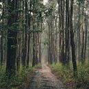 Meu projeto do curso: Storytelling para iniciantes: a arte de contar histórias. Projekt z dziedziny Stor, telling, Komunikacja, Literatura dziecięca i Podcasting użytkownika le_vieira_oliveira - 23.08.2022