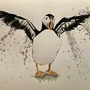 Mon projet du cours : Aquarelles naturalistes expressives avec du caractère - Macareux moine. Ilustração tradicional, Pintura em aquarela e Ilustração naturalista projeto de Virginie Boivin - 17.08.2022