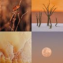 Storytelling Through Colour. Un progetto di Fotografia, Belle arti, Postproduzione fotografica, Creatività, Stor, telling, Gestione di un portfolio, Fotografia digitale, Fotografia artistica, Instagram, Produzione audiovisiva, Fotografia all'aperto, Composizione fotografica, Narrativa e Teoria del colore di Emilie Ristevski - 23.08.2022