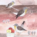 Birds. Un proyecto de Ilustración tradicional, Ilustración infantil y Dibujo a lápiz de Patrycja Findzińska - 26.09.2022
