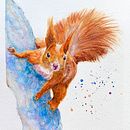 My project for course: Expressive Animal Portraits in Watercolor. Un projet de Illustration traditionnelle, Aquarelle, Dessin réaliste et Illustration naturaliste de Ann Yip - 18.08.2022