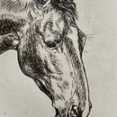 My project for course: Daily Sketching for Creative Inspiration. Een project van Traditionele illustratie,  Schetsen,  Creativiteit,  Tekening y Sketchbook van sophiewalla14 - 27.08.2022
