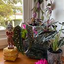 My project for course: Home Styling and Decoration with Plants. Un progetto di Design interattivo, Interior Design, Interior Design, DIY e Design floreale e vegetale di annemariejc - 25.08.2022