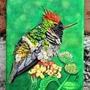Colibrí Coqueta Magnífica. Een project van Traditionele illustratie van Olga Garcia - 05.08.2022