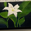 My project for course: Botanical Painting with Acrylic. Un progetto di Illustrazione tradizionale, Belle arti, Pittura, Pittura acrilica e Illustrazione botanica di lina_dibuja - 28.08.2022