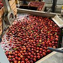 Mi proyecto del curso: Fotografía profesional para Instagram. Een project van  Reclame, Fotografie, Marketing, Social media, Mobiele fotografie, Productfotografie, Mobiele marketing, Instagram, Fotografie voor Instagram, Lifest y le fotografie van Ana Ibarz Oliet - 29.08.2022