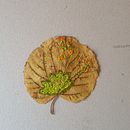 Mon projet du cours : Broderie sur des supports organiques originaux. Embroider, and Textile Design project by Claire Des Zabeilles - 08.29.2022