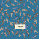 Proyecto en Técnicas de ilustración de ballenas en acuarela (Stickers, portadas e infografia))). Un projet de Illustration traditionnelle, Conception d'affiches, Illustration numérique, Aquarelle, Éducation, Conception numérique et Illustration naturaliste de Nicole Fleming - 29.08.2022