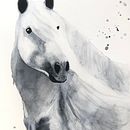 Horse in monocrome. Un progetto di Illustrazione tradizionale di Eva Kadar - 30.08.2022