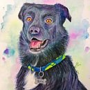 Mi proyecto del curso: Técnicas experimentales de acuarela para principiantes. Un proyecto de Ilustración tradicional, Bellas Artes, Pintura a la acuarela e Ilustración naturalista				 de Gabriela Fuster - 16.08.2022