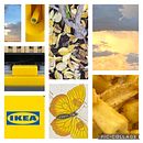 De principiante a dibujante . Een project van  Tekening van Breddy King - 31.08.2022