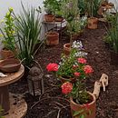 Mi proyecto del curso:  Jardín de polinizadores para mi terraza.. Paisagismo, Design floral e vegetal, e Design de espaços projeto de Rosalba Thomas - 01.09.2022