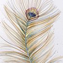 Plumas. Een project van Aquarelschilderen, Traditionele illustratie,  Tekening y  Beeldende kunst van Verónica Petrina - 01.09.2022