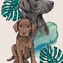 Naomi & Oji: Illustrated Portraits with Procreate. Un projet de Illustration traditionnelle, Illustration vectorielle, Illustration numérique , et Dessin de portrait de Ninai Freitas - 01.09.2022