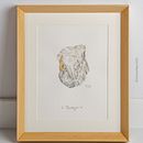 Cuarzo. Serie acuarela "Agricultura biodinámica". Projekt z dziedziny Design, Trad, c, jna ilustracja, Grafika ed, torska,  Sztuki piękne, Projektowanie graficzne,  Malarstwo,  R, sunek, R, sunek realist, czn,  R, sunek art, st, czn, R, sunek botaniczn, Ilustracja w i dawnicza użytkownika Toñi García - 01.09.2022