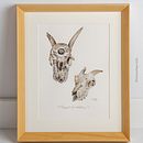 Cráneo de cabra. Serie acuarela "Agricultura biodinámica". Projekt z dziedziny Trad, c, jna ilustracja, Craft, Grafika ed, torska,  Sztuki piękne, Projektowanie graficzne,  Malarstwo,  R, sunek, R, sunek realist, czn,  R, sunek art, st, czn, R, sunek botaniczn, Ilustracja naturalist, czna, Design, Ilustracja w i dawnicza użytkownika Toñi García - 01.09.2022