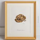 Boñiga de vaca. Serie acuarela "Agricultura biodinámica". Projekt z dziedziny Design, Trad, c, jna ilustracja, Craft,  Sztuki piękne, Projektowanie graficzne,  Malarstwo, Kreat, wność,  R, sunek, R, sunek realist, czn,  R, sunek art, st, czn, R, sunek botaniczn, Ilustracja w, dawnicza, Ilustracja naturalist i czna użytkownika Toñi García - 01.09.2022