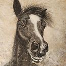 Horse Portrait - mon projet du cours : Portrait artistique au fusain : créez des ambiances. Un projet de Beaux Arts, Dessin, Dessin de portrait, Dessin réaliste, Dessin artistique et Illustration traditionnelle de Oliwia - 02.09.2022