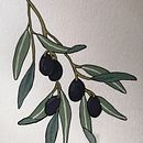 Il mio progetto del corso: Creazione di pattern botanici a partire da un disegno . Ilustrasi Digital, Ilustrasi Botani, Dan Gambar Digital proyek oleh Benedetta Caraba - 09.04.2022