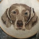 Mi proyecto del curso: Retratos de mascotas: técnicas para bordar pelaje. Un proyecto de Artesanía, Bordado y Diseño textil de Elena Guitron - 05.09.2022