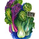 Vegetables. Traditional illustration project by Irina Vaneeva - 09.05.2022