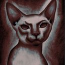Animal Illustrations. . Traditional illustration project by Amanda Wynn - 09.05.2022