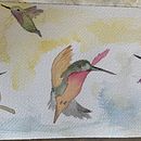 My project for course: Artistic Watercolor Techniques for Illustrating Birds . % obrien_m tarafından hazırlanan Geleneksel illüstras, on, Sulubo, a Resim, Gerçekçi Çizim, Doğalcı İllüstras, Ve on projesi - 09.05.2022