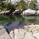 Atmospheric Landscape Watercolor. Projekt z dziedziny Malowanie akwarelą użytkownika Terence Leach - 28.08.2022
