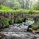 Mi proyecto del curso: Fotografía de paisaje y naturaleza. Un progetto di Fotografia, Fotografia all'aperto, Fotografia per Instagram, Fotografia documentaria e Composizione fotografica di Martín Aguilar - 06.09.2022