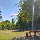 Mi proyecto del curso: Fotografía profesional para Instagram. Publicidade, Marketing, Redes sociais, Fotografia com celular, Fotografia do produto, Mobile Marketing, Instagram, Fotografia para Instagram, Fotografia Lifest, le, e Fotografia projeto de Fany Escalante - 30.08.2022