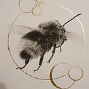 Illustrating Natural World in Charcoal & Watercolor. Traditional illustration project by hmaria68 - 09.08.2022