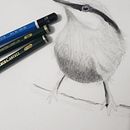 Meu projeto do curso: Técnicas expressivas de aquarela para ilustração de pássaros. Projekt z dziedziny Trad, c, jna ilustracja, Malowanie akwarelą, R, sunek realist, czn, Ilustracja naturalist i czna użytkownika Fabiano Araujo - 09.09.2022