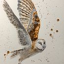 Mi proyecto del curso: Acuarela artística para ilustración de aves. Projekt z dziedziny Trad, c, jna ilustracja, Malowanie akwarelą, R, sunek realist, czn, Ilustracja naturalist i czna użytkownika David Salvador Escandón Sandoval - 14.09.2022