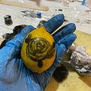 Mi proyecto del curso: Tatuaje para principiantes. Un projet de Conception de tatouage de camilaberriosneira - 08.09.2022
