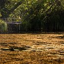 Mon projet du cours : Photographie de paysage et de nature. Photograph, Outdoor Photograph, Instagram Photograph, Documentar, Photograph, and Photographic Composition project by Ambre SIMON - 09.11.2022