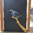 Mon projet du cours : Peinture à l'huile classique et portrait naturaliste d'oiseaux. Een project van  Beeldende kunst, Schilderij,  Olieverfschilderij y Naturalistische illustratie van chloe_r - 12.09.2022