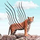 Mon projet du cours : Photomontage et illustrations fantastiques sur Photoshop. Un progetto di Fotografia, Collage, Ritocco fotografico, Illustrazione digitale, Composizione fotografica e Fotomontaggio di julie - 12.09.2022